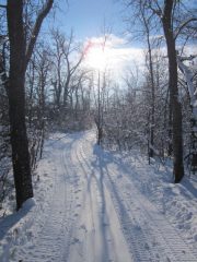 photo_PumpkinCreek_trail